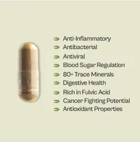 Soursop + Shilajit Supplement – Image 2