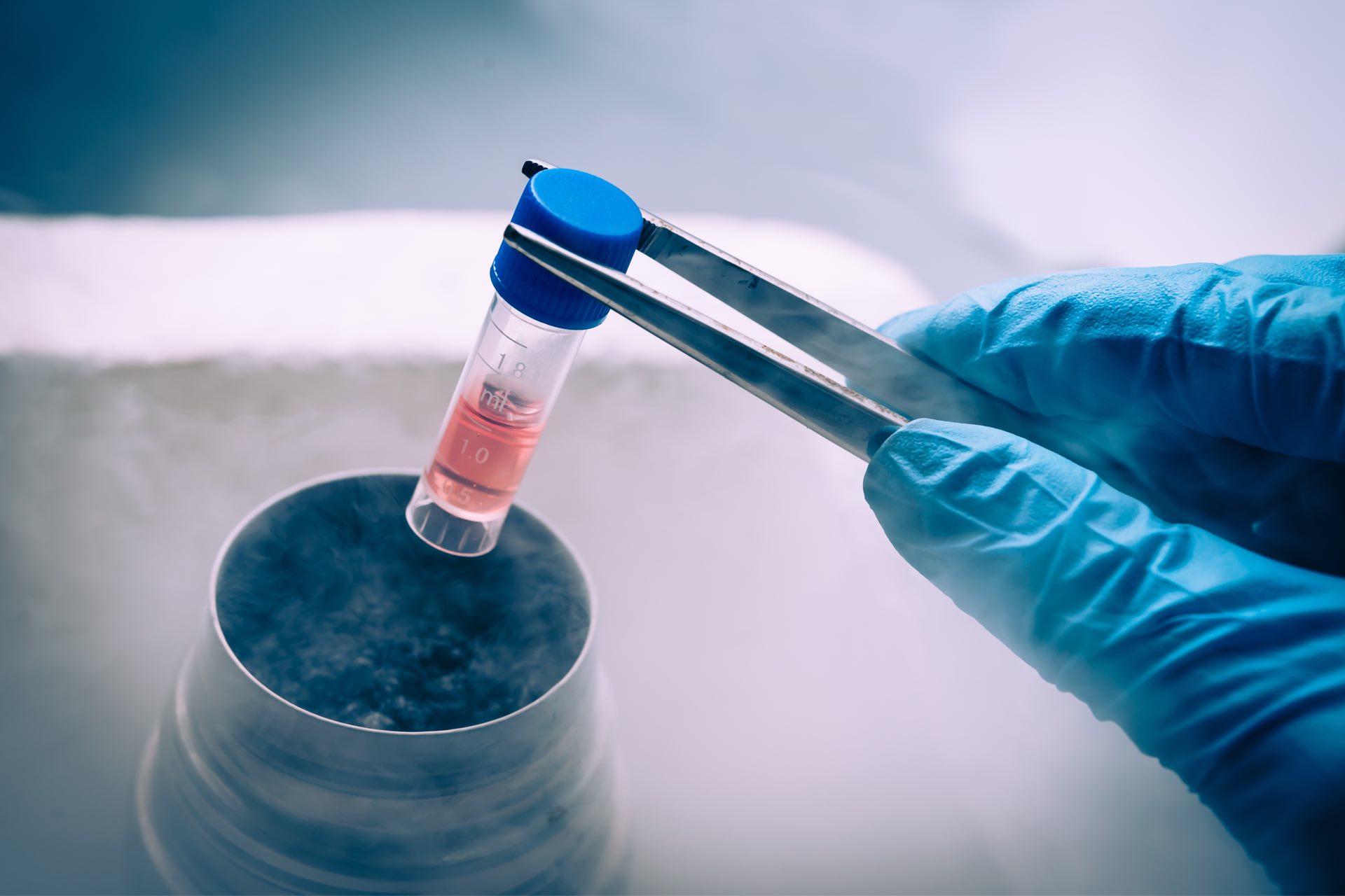 Stem Cell Therapy – Image 1