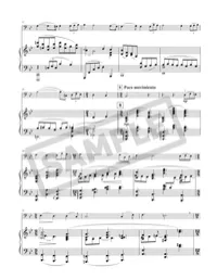In Remembrance of Thy Suffering - Cello and Piano – Image 3