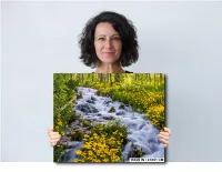 Alpine Loop – Image 3