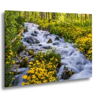 Alpine Loop – Image 1