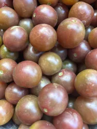 Tomato 'Black Cherry'  – Image 2