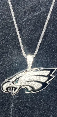 Eagles souvenir chain – Image 2