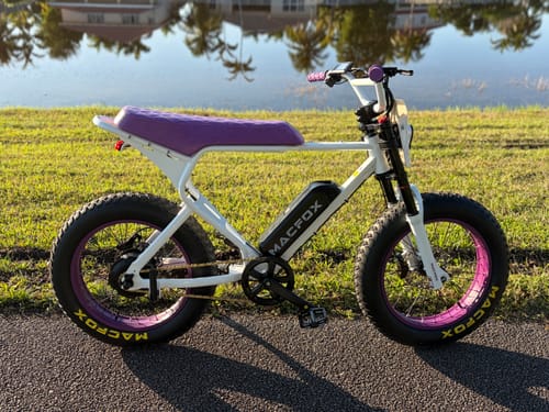 Macfox X1S x Bs.zay – Image 3