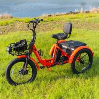 Mooncool TK Pro Electric Trike – Image 1