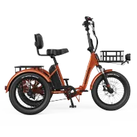 Mooncool TK Pro Electric Trike – Image 5