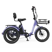Mooncool TK Pro Electric Trike – Image 7