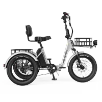 Mooncool TK Pro Electric Trike – Image 3