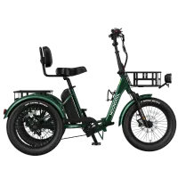 Mooncool TK2 Pro Electric Trike – Image 3