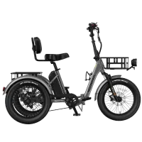 Mooncool TK2 Pro Electric Trike – Image 2