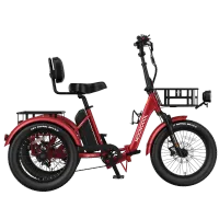 Mooncool TK2 Pro Electric Trike – Image 5