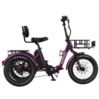 Mooncool TK2 Pro Electric Trike – Image 1