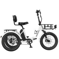 Mooncool TK2 Electric Trike – Image 9