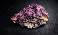 Wild Blueberry Scone – Image 1