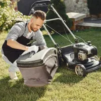 Lawn Mowing (Subscription) – Image 1