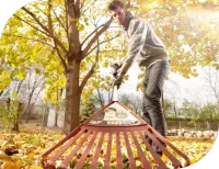 Spring/Fall Cleanup – Image 1