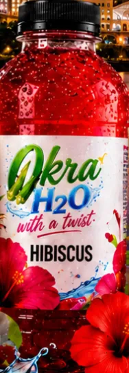 🌺 Hibiscus Ginger Turmeric Okra H2O – Bucket