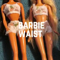 pr0n star barbie waist – Image 1
