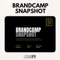 BrandCamp Snapshot | AI-Powered Brand Audit – Image 1