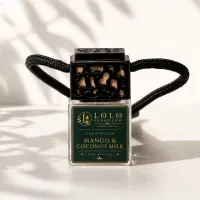 Luxury Car Diffuser – Black