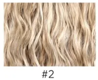 RaiStyles® Custom Color Braiding Hair – Butt Length (28–30 inches), #2