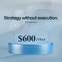 Strategy without execution (With intake forms) – Image 1