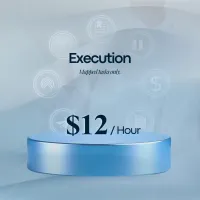 Execution – Image 1