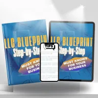 LLC Structure + Funding Blueprint – Image 1