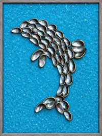 Dolphin – Image 2