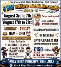 5 Day Intensive Martial Arts Course – Image 1