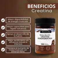 Creatina Monohidratada polvo – Image 2