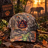 Auburn Tigers with Camouflage – Image 1