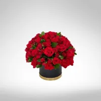 50 Rosas Rojas – Image 1