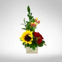 Tulipanes Vibrantes – Image 1