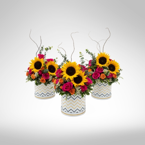 Destellos de Girasol – Image 1