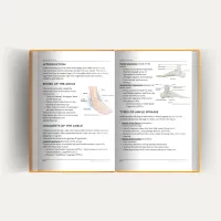 Ankle Sprain Rehabilitation Plan – Image 2