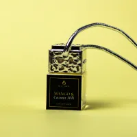 Mango & Coconut Milk Luxury Car Diffuser – Silver