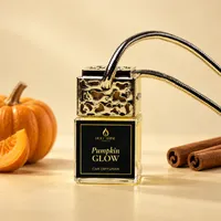 Pumpkin Glow Luxury Car Diffuser – Silver
