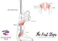 Pole Move Anatomy Poster - Single – Back Knee Hook