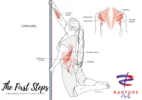 Pole Move Anatomy Poster - Single – Carousel