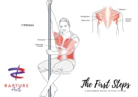 Pole Move Anatomy Poster - Single – Basic Fireman