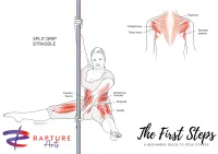 Pole Move Anatomy Poster - Single – Straddle