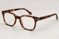 Heritage Tortoise – Image 1
