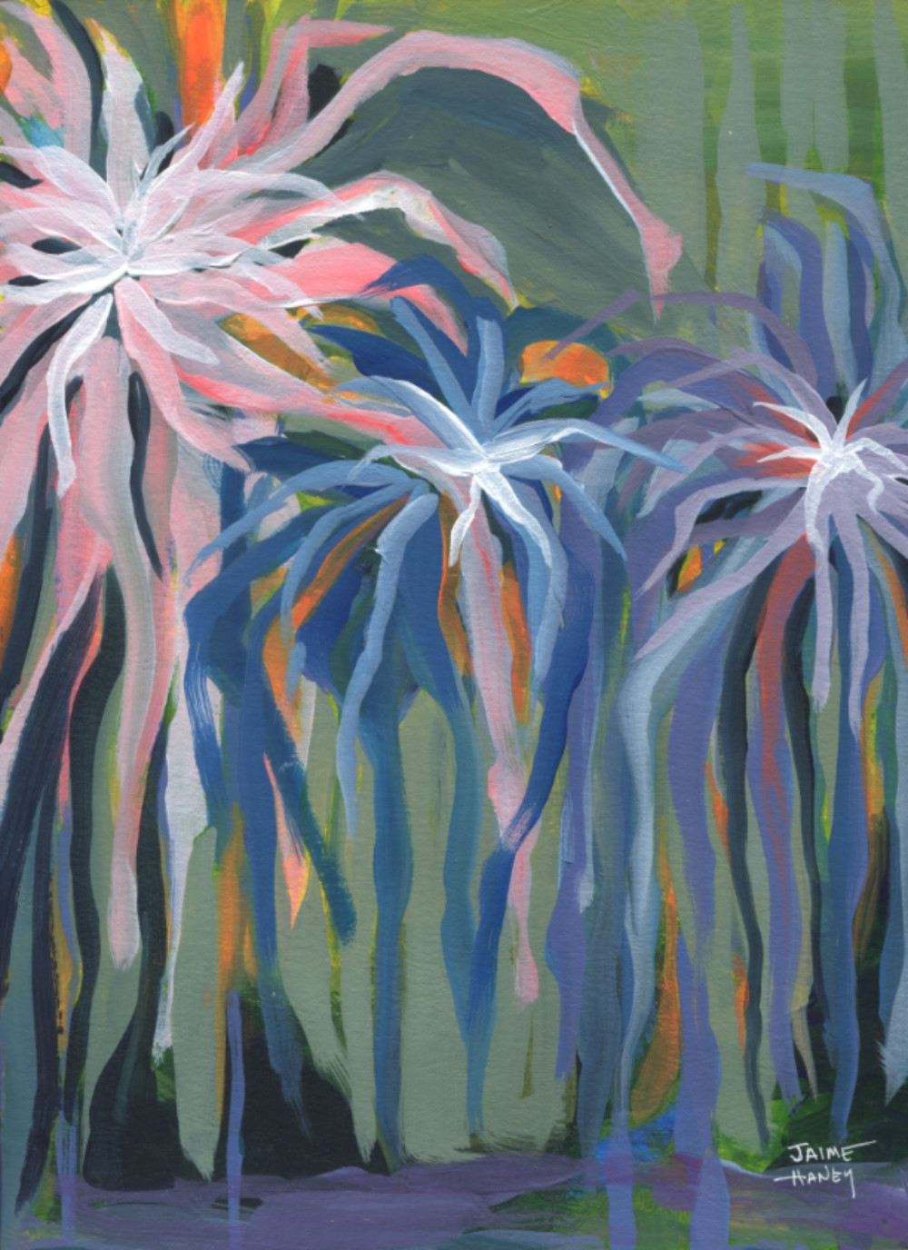 Dahlia Fireworks – Image 1