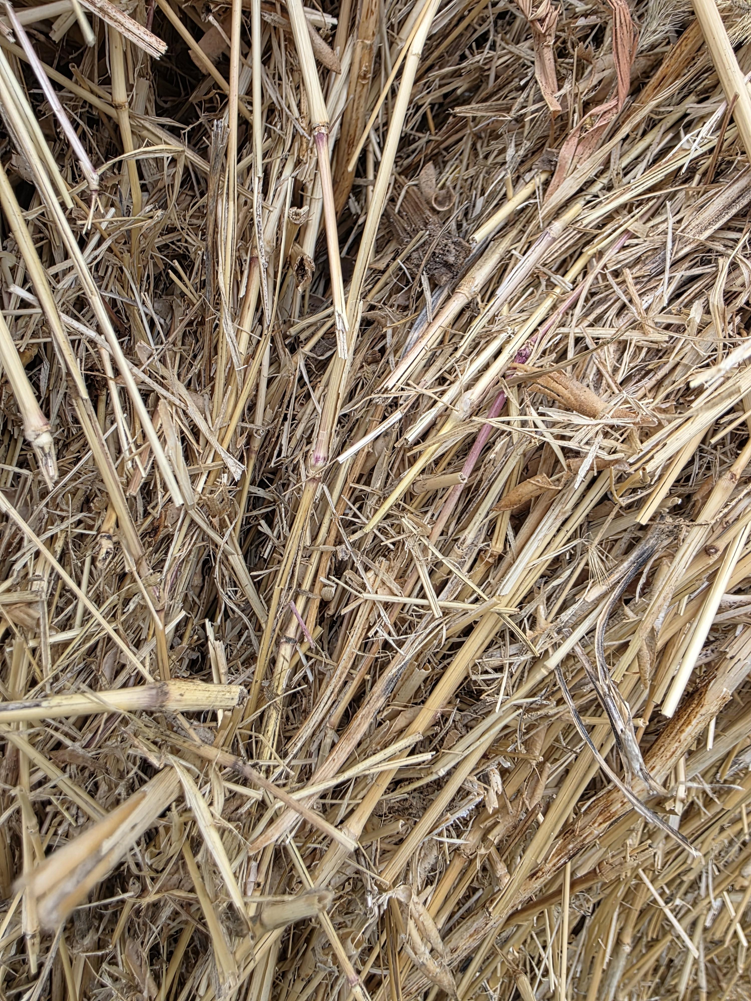 109 Bedding Bales Rounds – Image 2
