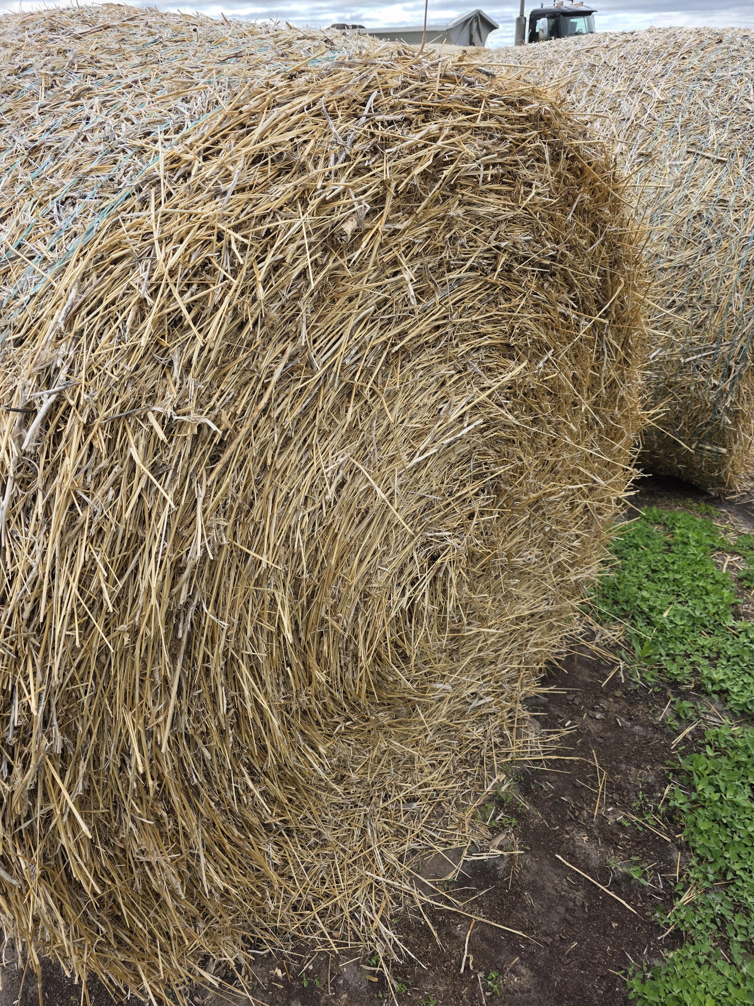 109 Bedding Bales Rounds – Image 4