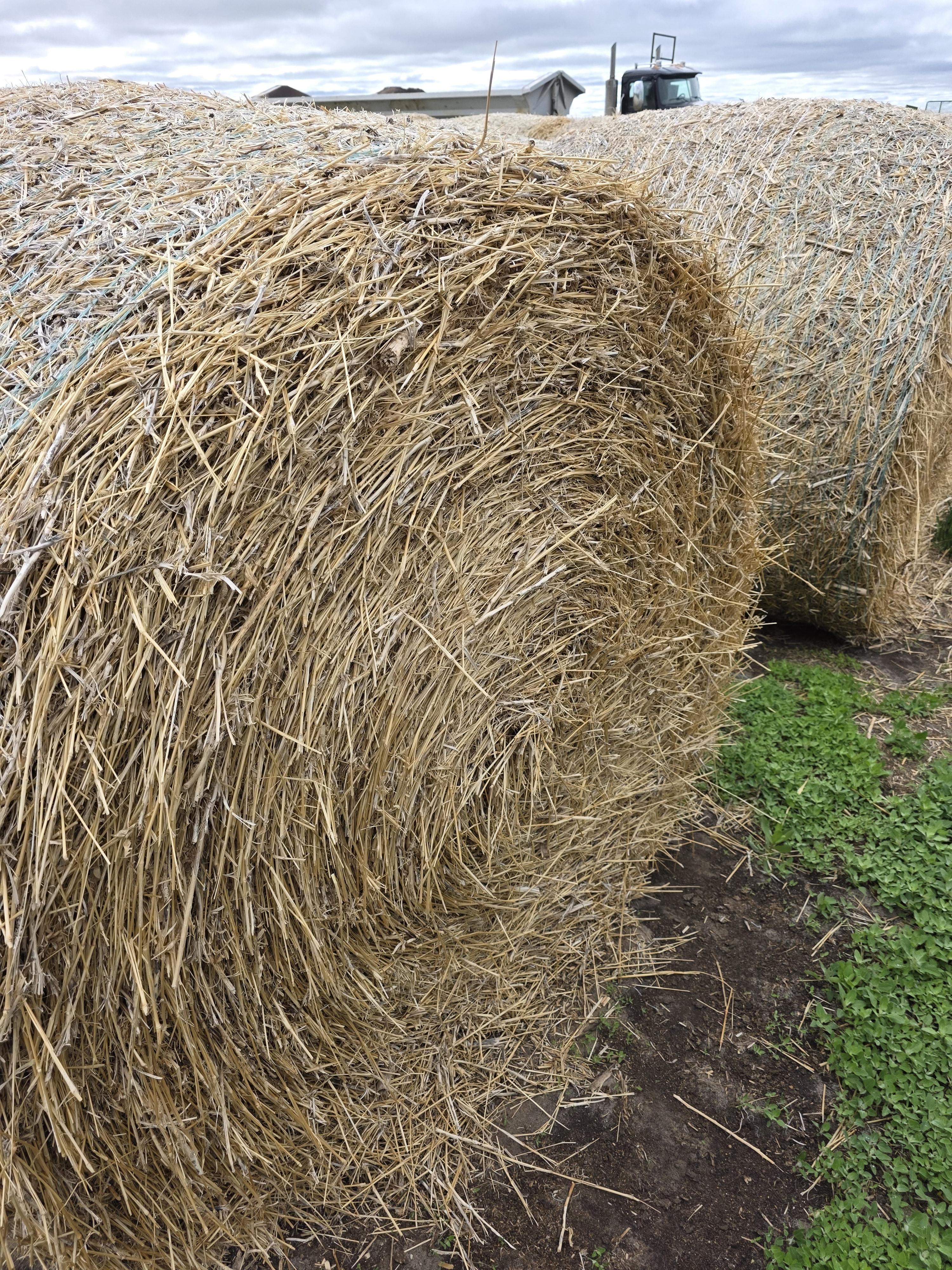 109 Bedding Bales Rounds – Image 5