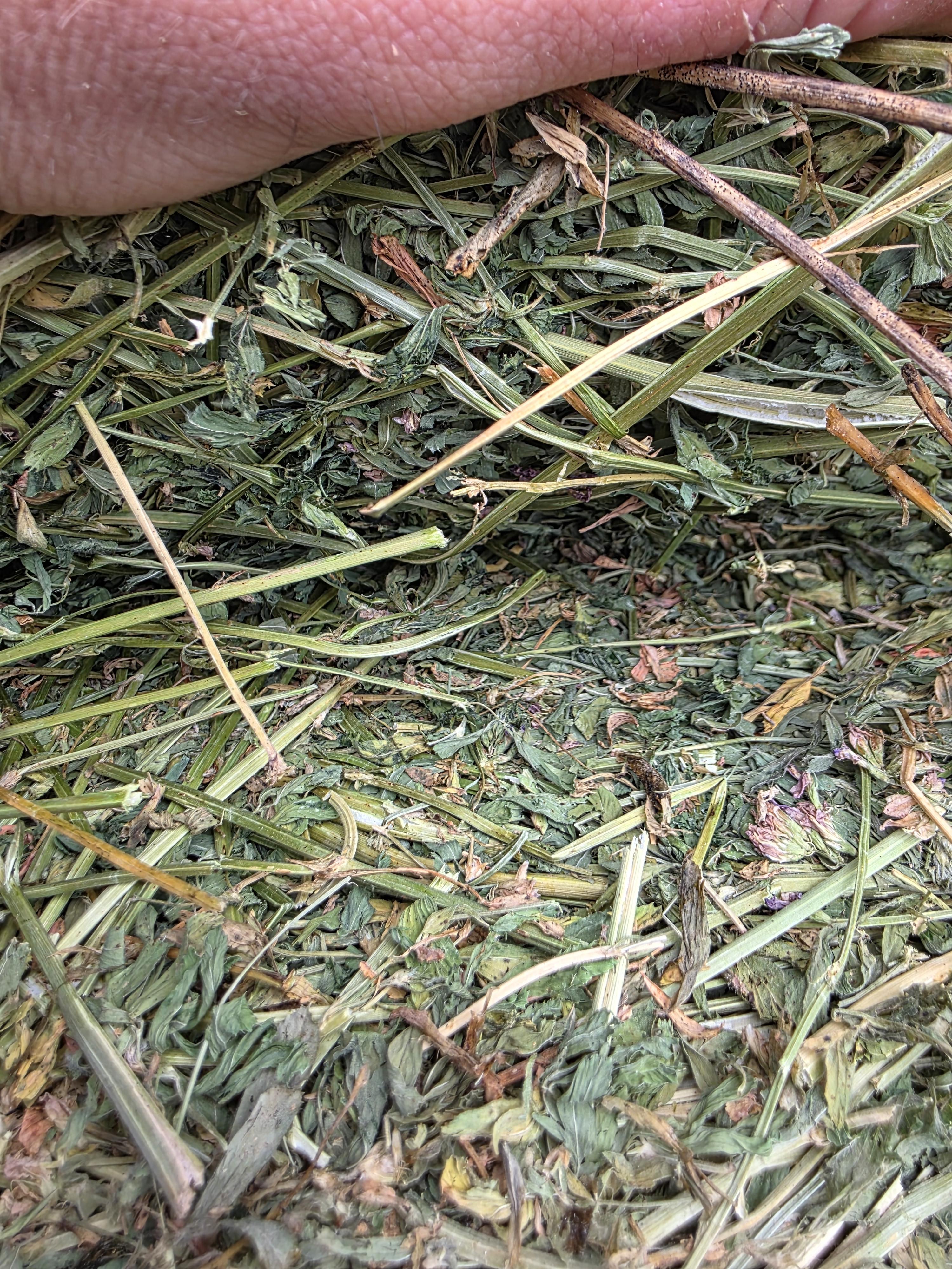 107 Alfalfa Rounds Great Bales – Image 6