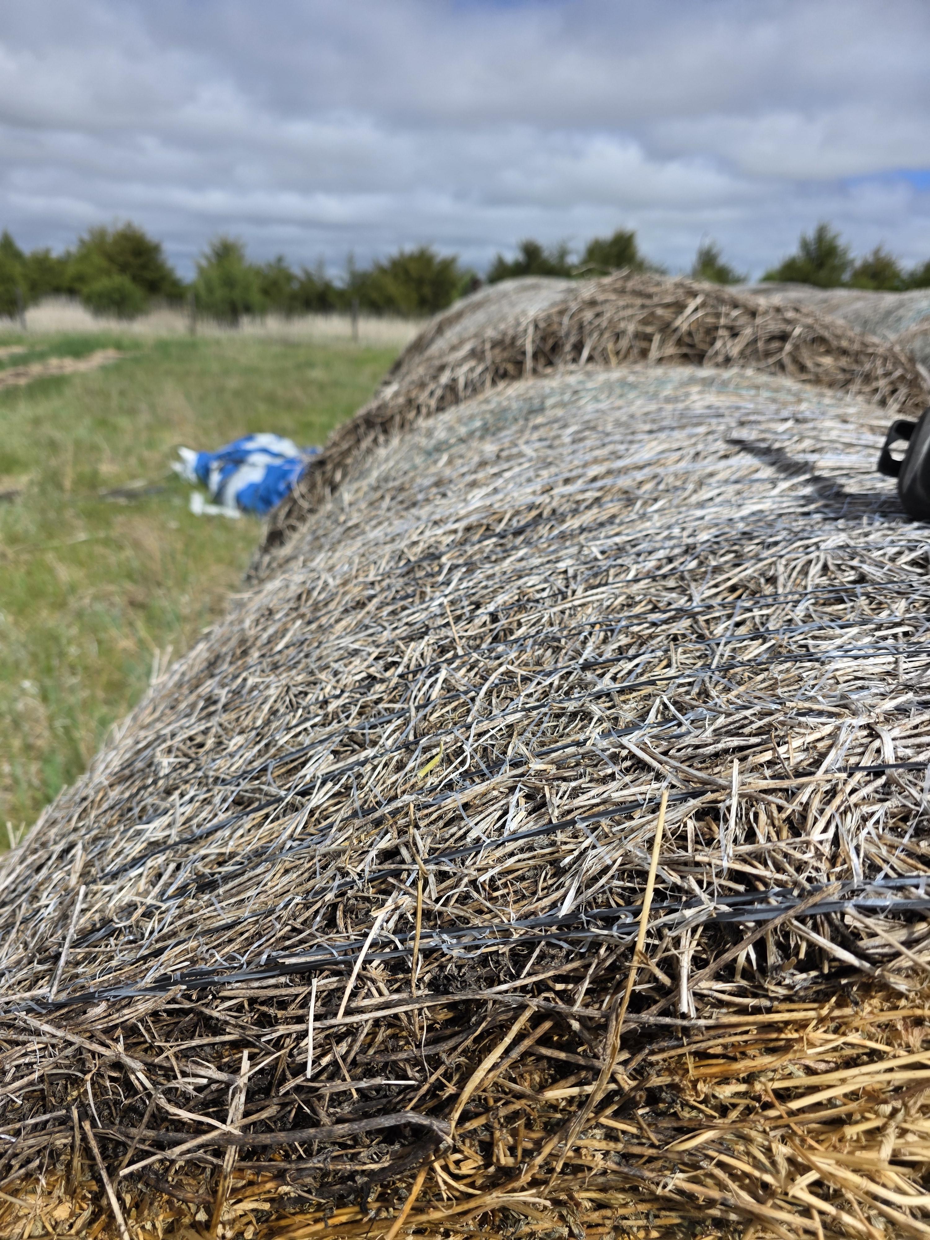107 Alfalfa Rounds Great Bales – Image 8