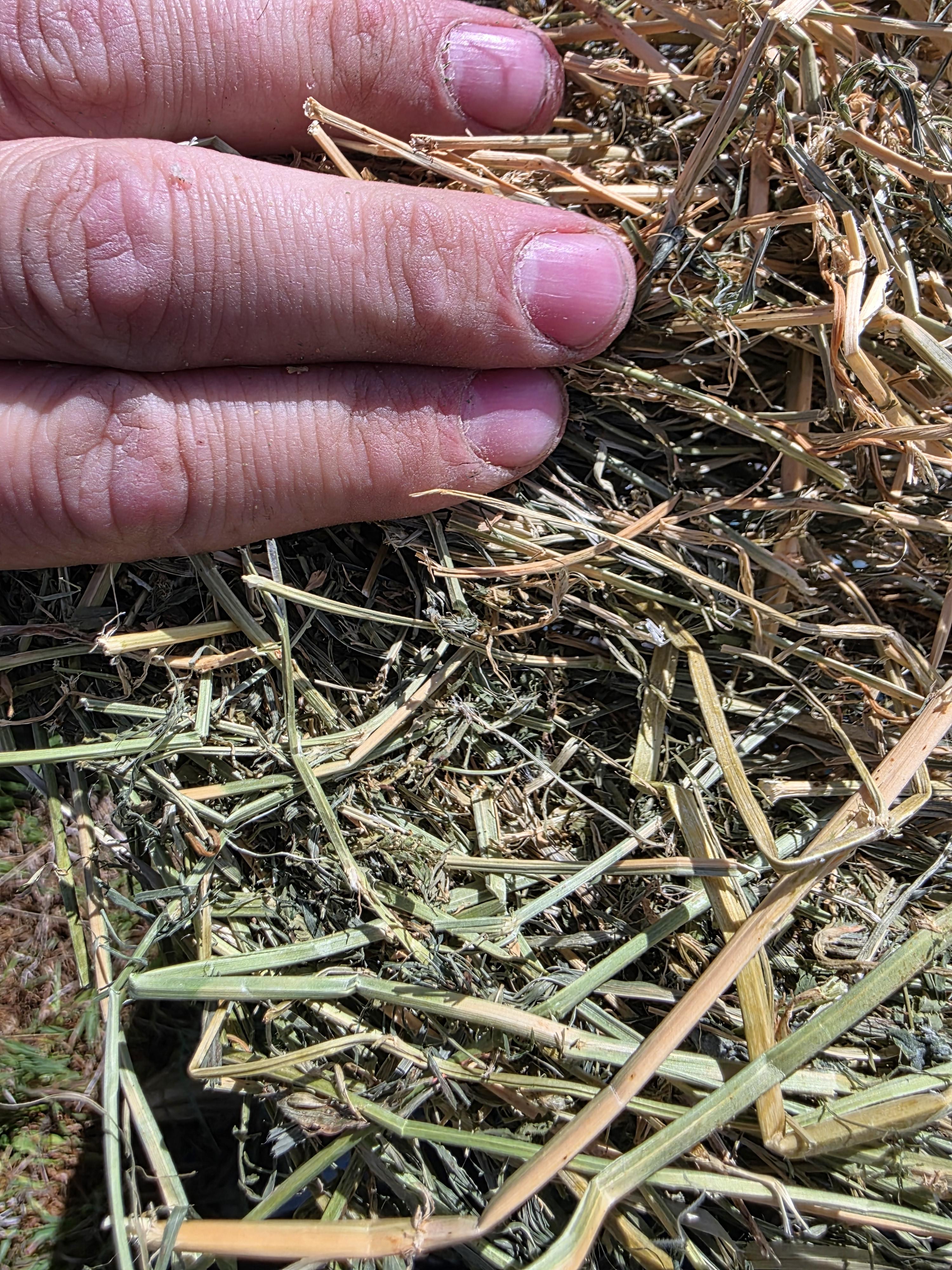 104 Alfalfa Rounds – Image 7